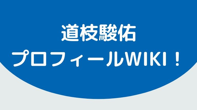 道枝駿佑 みちえだしゅんすけ プロフィールwiki 彼女は Cmは Hina Choice