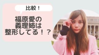 芸能人 Hina Choice