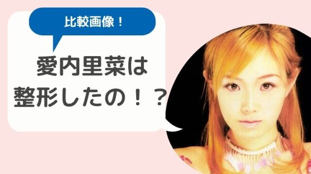 比較画像 愛内里菜は整形している 変わった5つのポイント Hina Choice