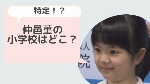 仲邑菫 なかむらすみれ の小学校はどこ 高見小学校で韓国語の実力は通訳レベル Hina Choice